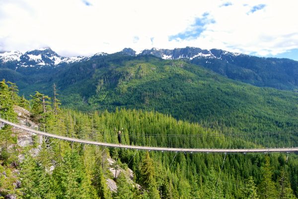 Suspension Bridge Sea to Sky Gondola Squamish