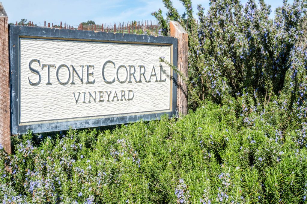How to see Pismo Beach; Stone Corral Vineyard lavender nature