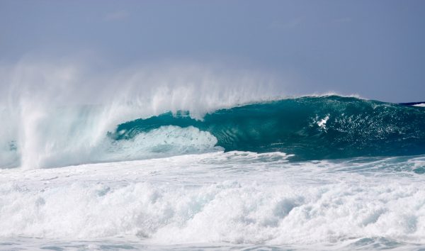 best things to do in Oahu; North Shore beach waves surfing