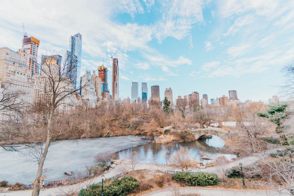 48 hours in New York; central park winter