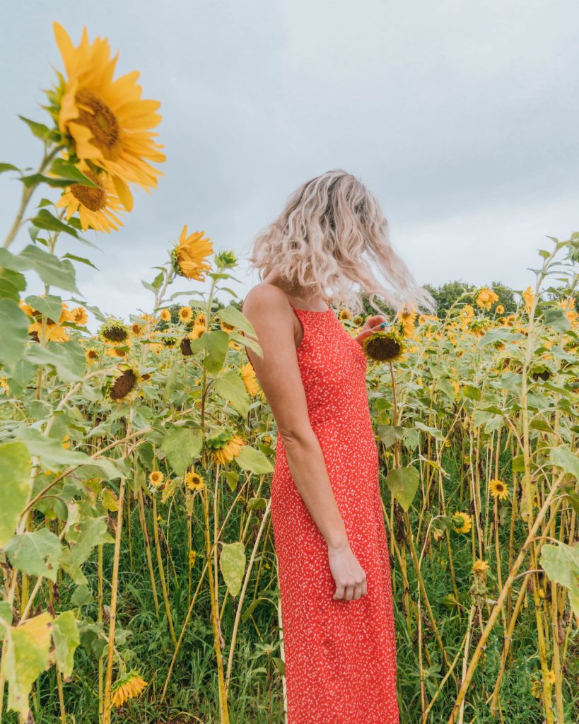 Thanks to the Instagram Algorithm, I Learned 5 Important Lessons; blonde girl in red dress in a sunflower field